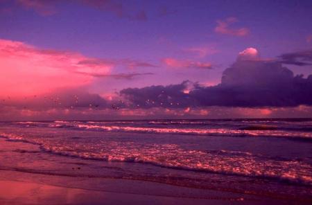 plage