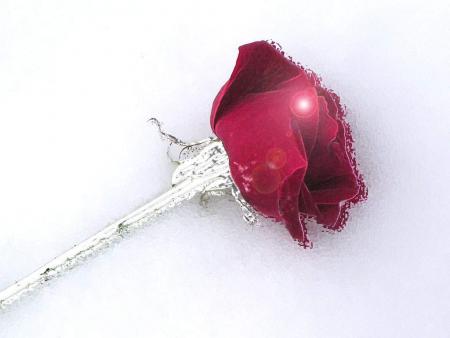 la glace